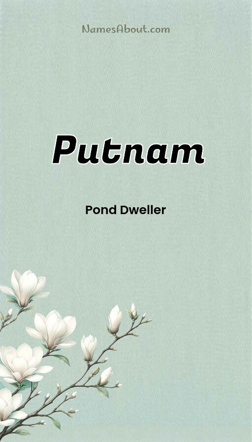 Meaning of Putnam