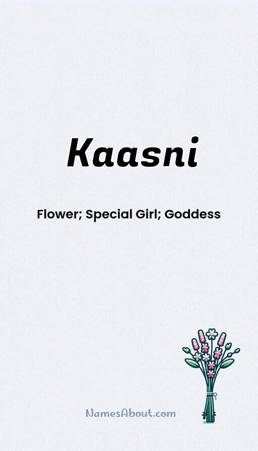 Kaasni name meaning, Meaning of Kaasni, Kaasni name origin, Kaasni name personality, Kaasni name numerology, Kaasni name significance, Kaasni name lucky number, Kaasni name traits, Popularity of Kaasni name, Spiritual meaning of Kaasni, Unique name Kaasni meaning