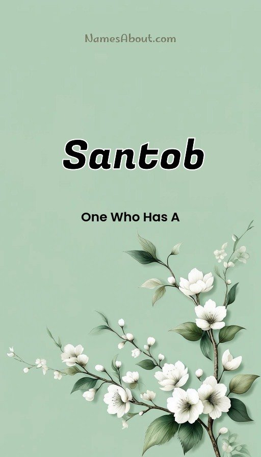 Meaning of Santob