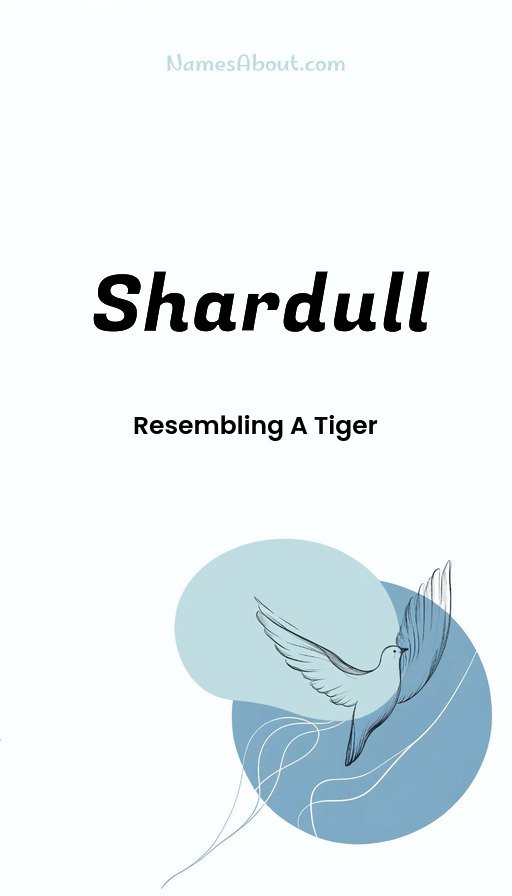 Meaning of Shardull