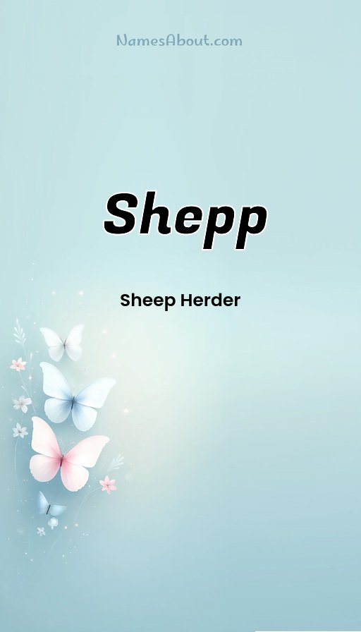 Meaning of Shepp