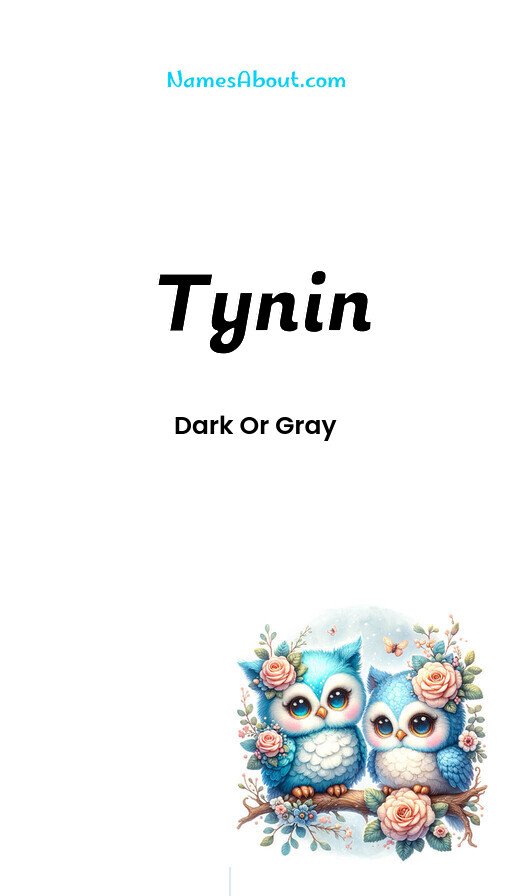 Meaning of Tynin