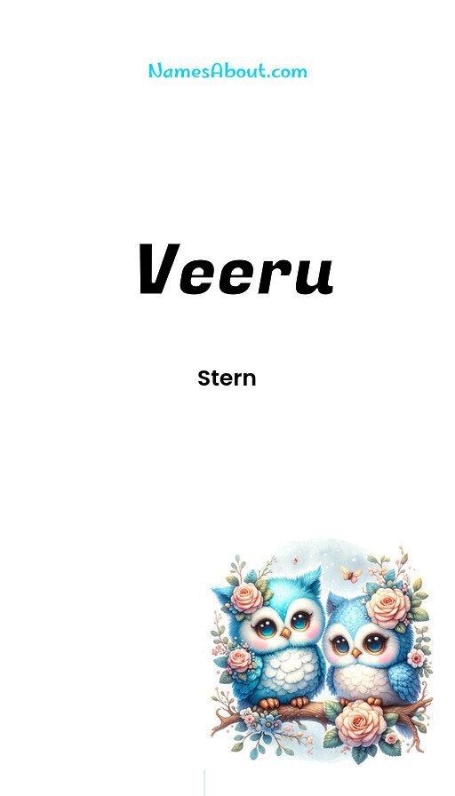 Meaning of Veeru