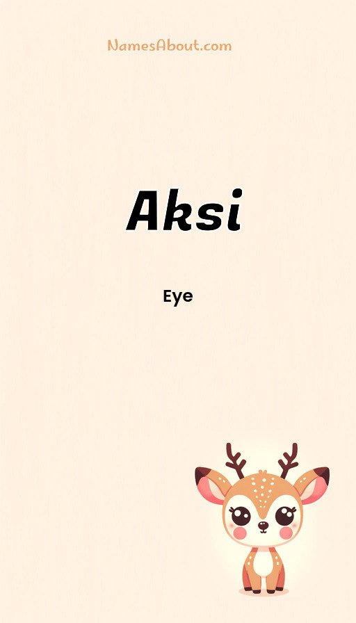 Meaning of Aksi