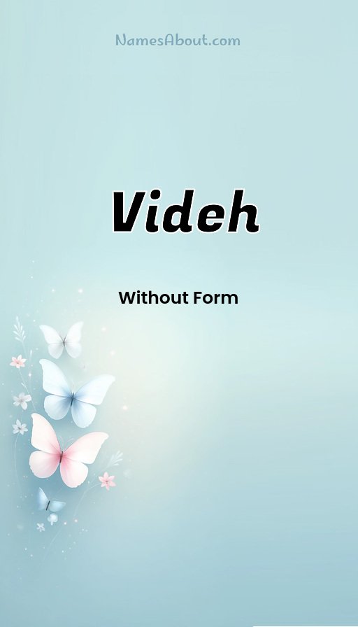 Meaning of Videh