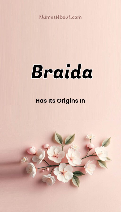 Meaning of Braida