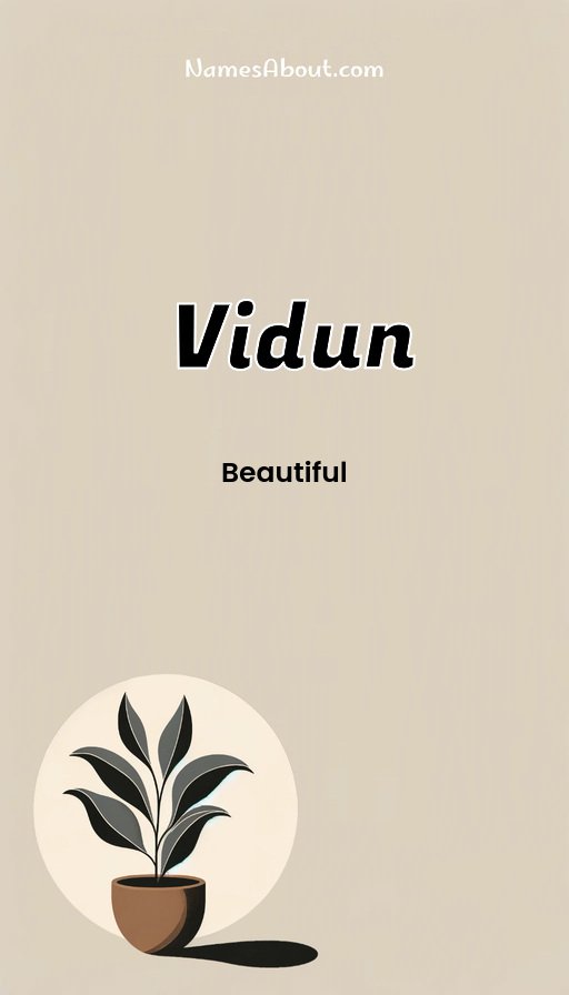 Meaning of Vidun