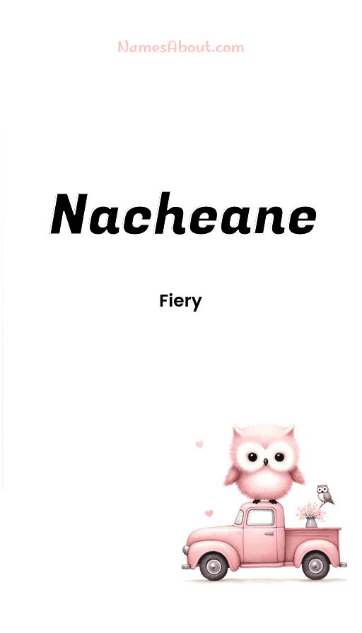 Meaning of Nacheane