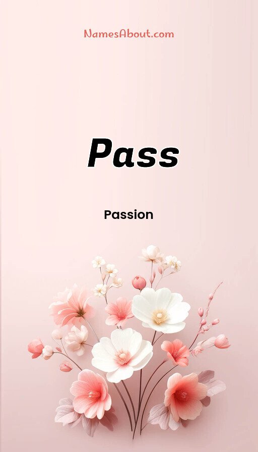 Meaning of Pass