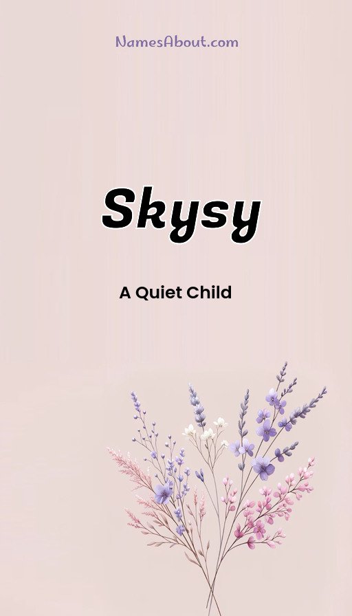 Meaning of Skysy