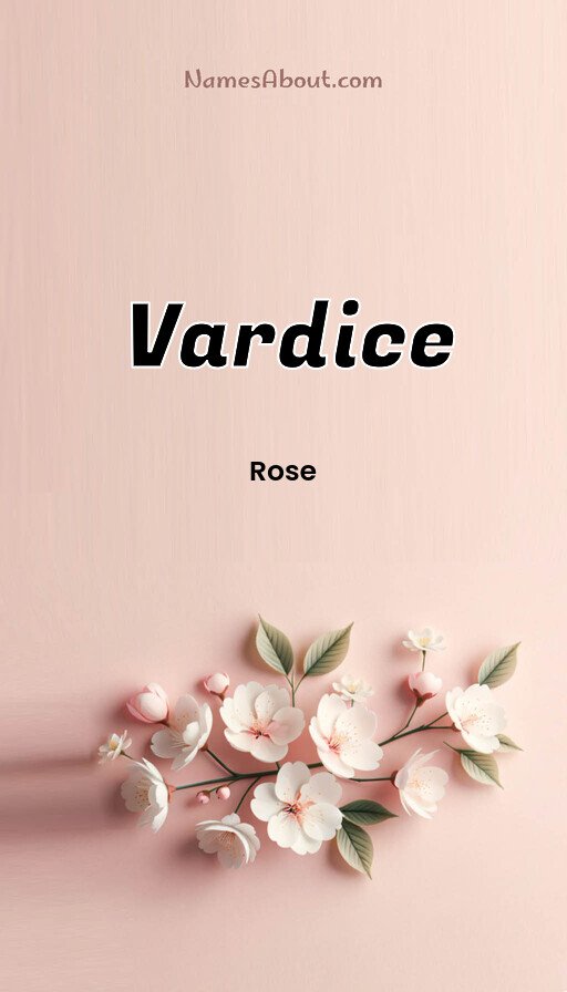Meaning of Vardice