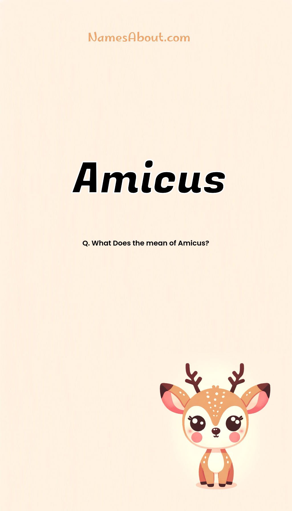 Amicus name and meaning