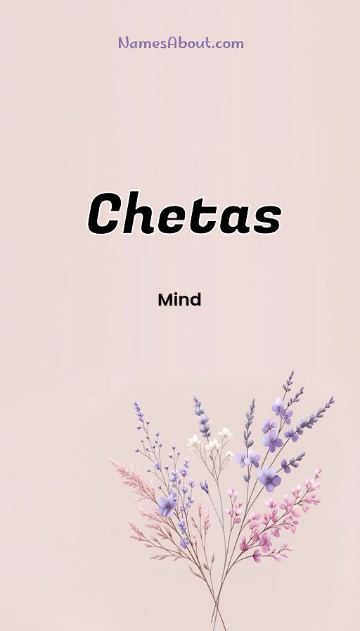 Meaning of Chetas