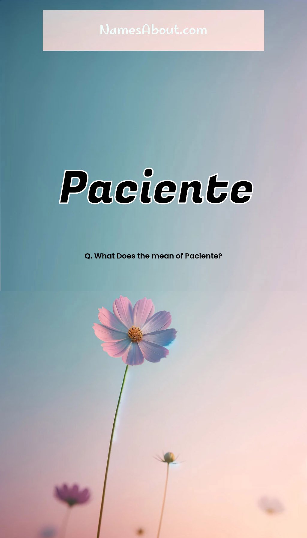 Paciente name and meaning