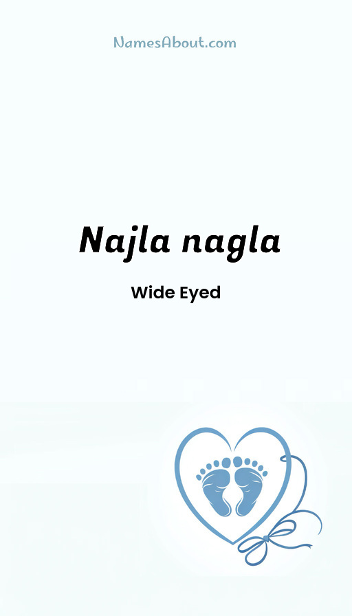 Meaning of Najla nagla