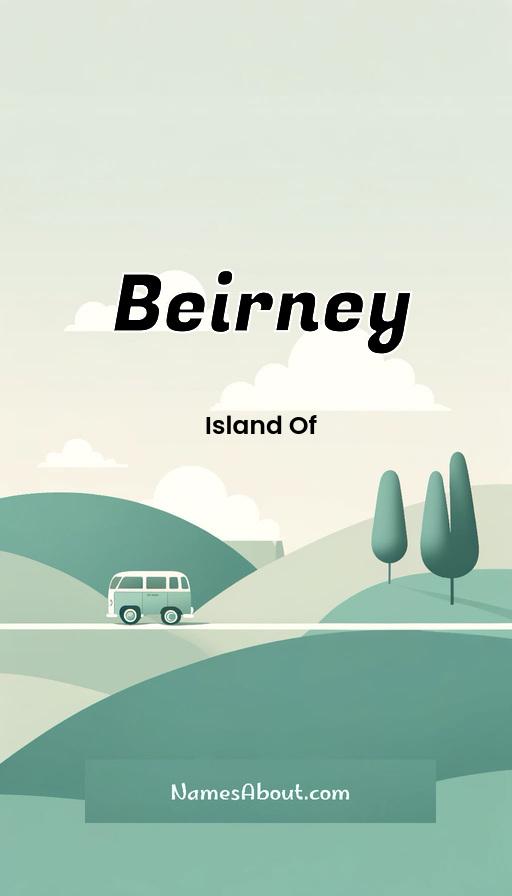 Beirney name and meaning