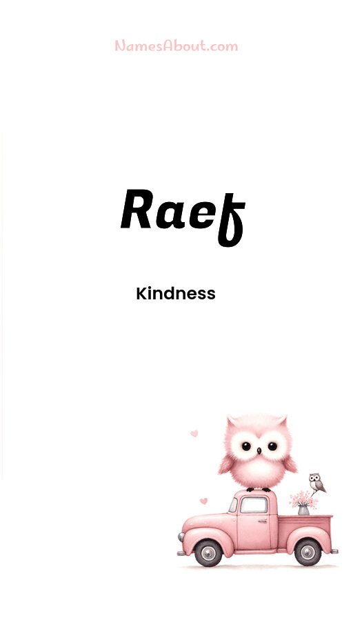 Meaning of Raef