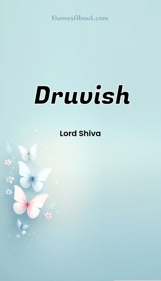 Meaning of Druvish