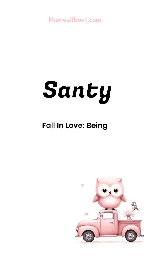 Meaning of Santy