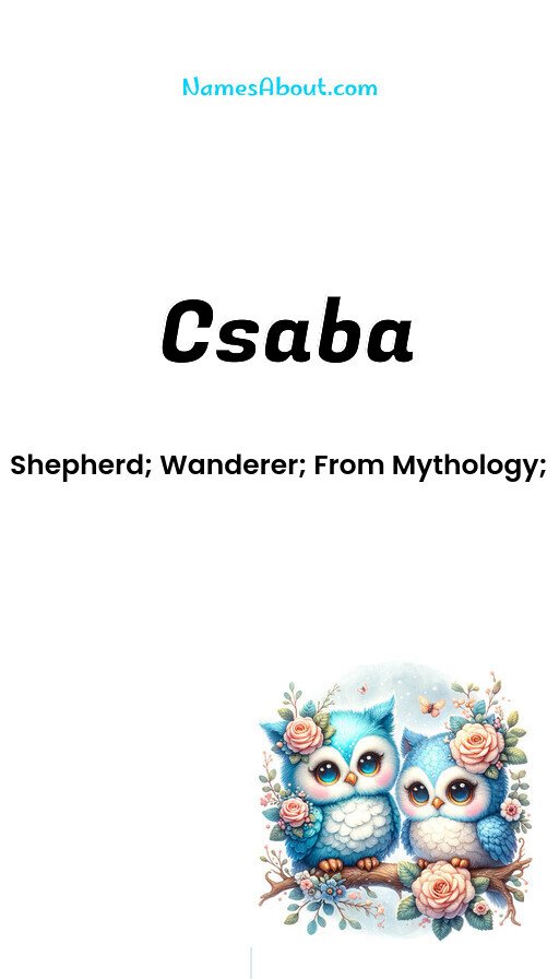 Meaning of Csaba