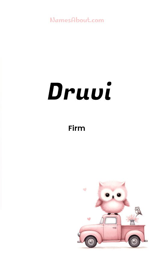 Meaning of Druvi