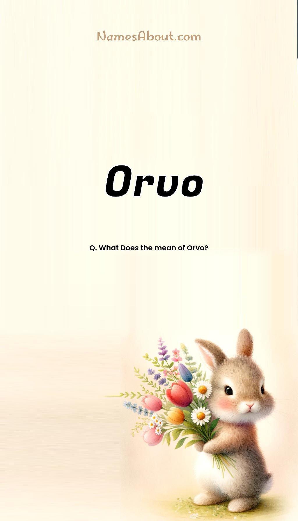 Orvo name and meaning