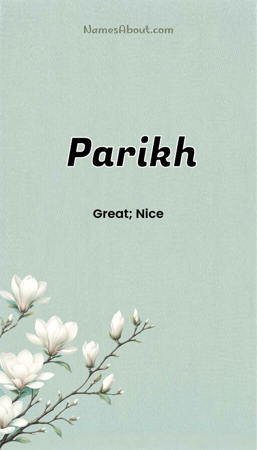 Meaning of Parikh