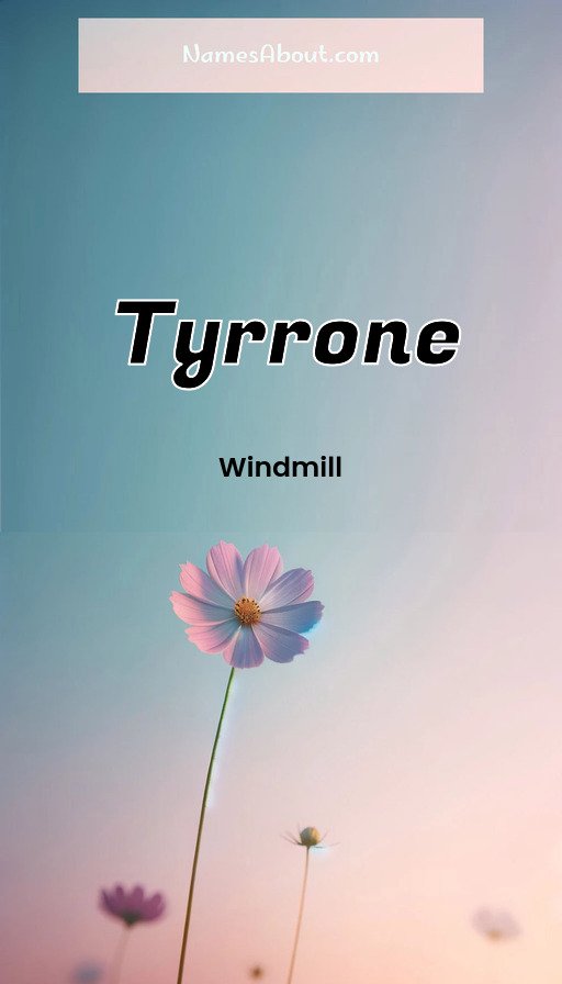 Meaning of Tyrrone