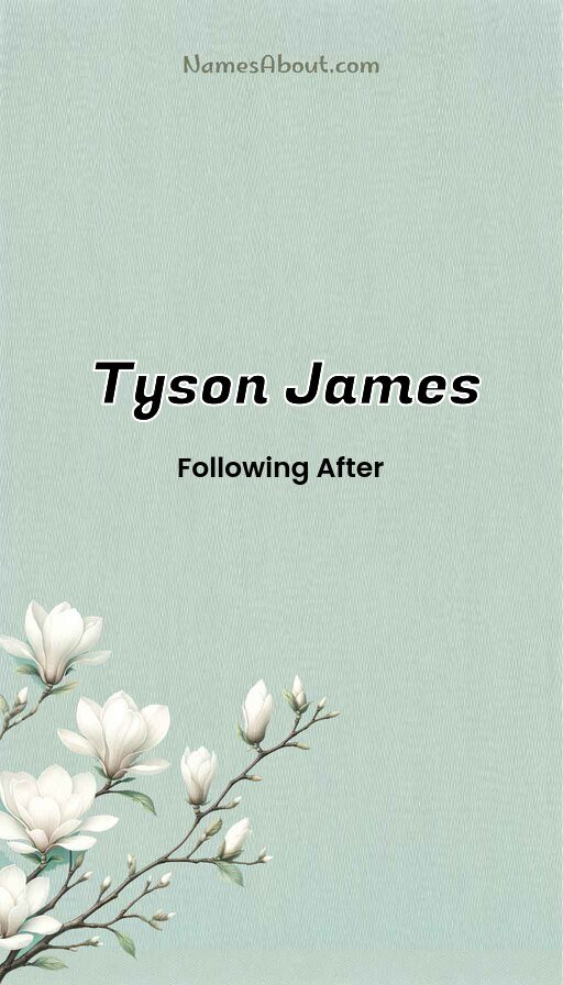 Meaning of Tyson James