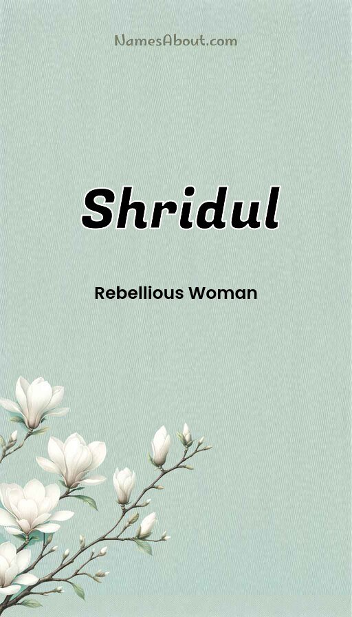 Meaning of Shridul