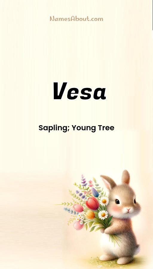 Illustration of Vesa