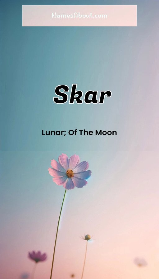 Meaning of Skar