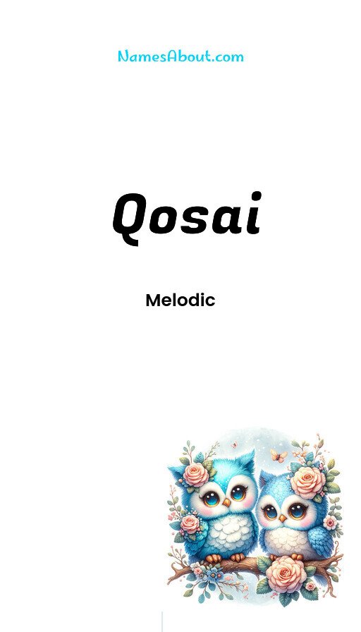 Meaning of Qosai