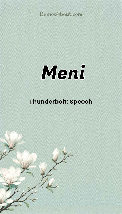 Meaning of Meni