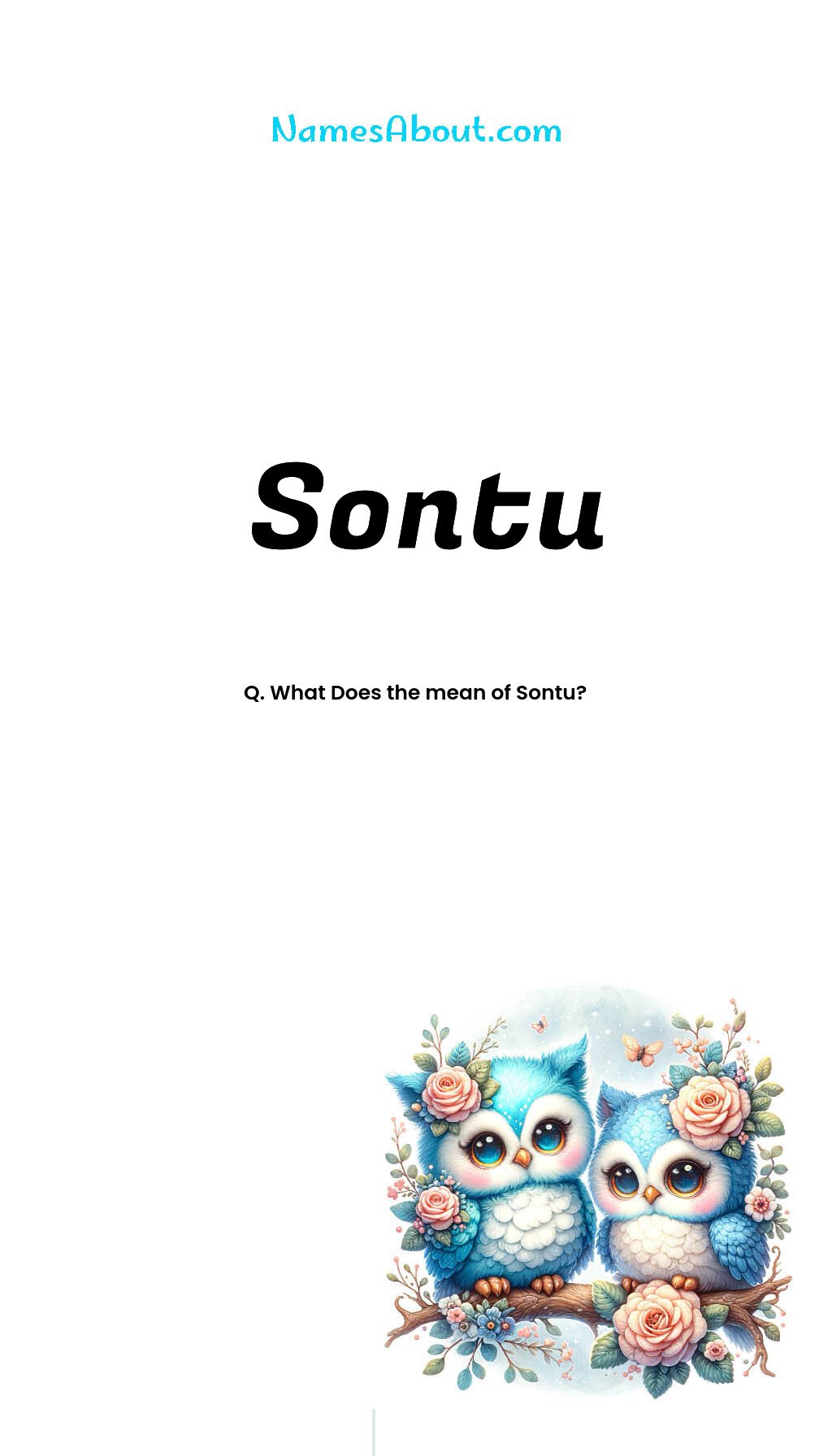 Sontu name and meaning