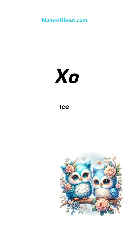 Meaning of Xo