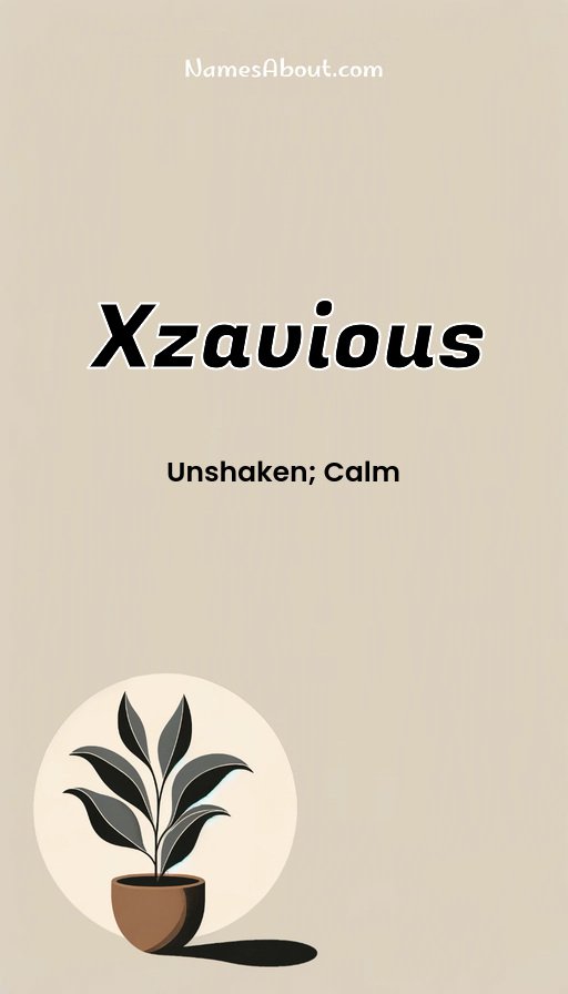 Meaning of Xzavious