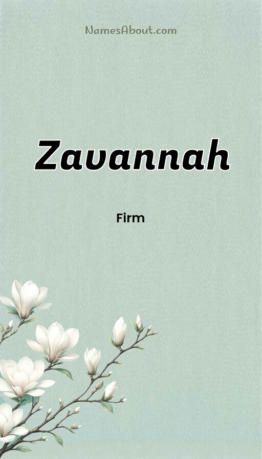 Meaning of Zavannah