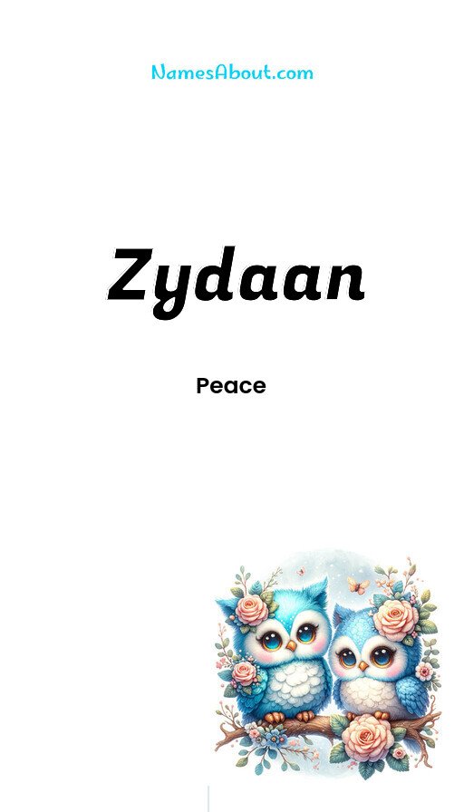 Meaning of Zydaan