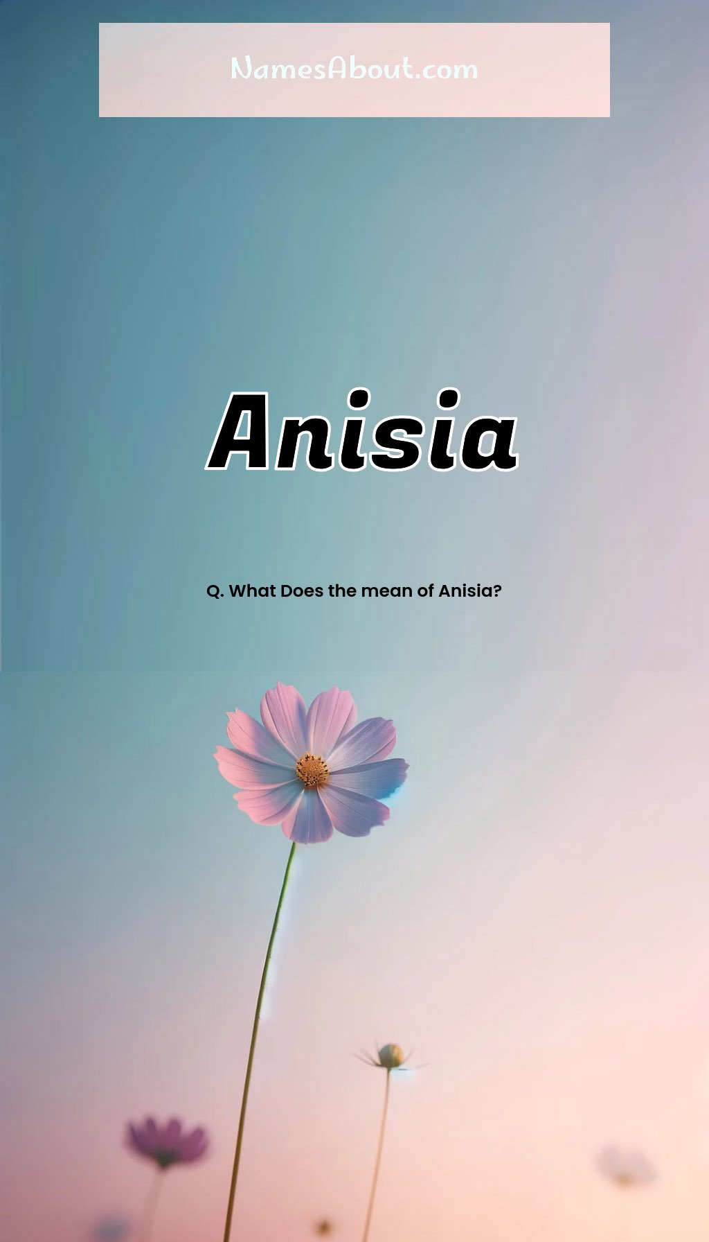 Anisia name and meaning