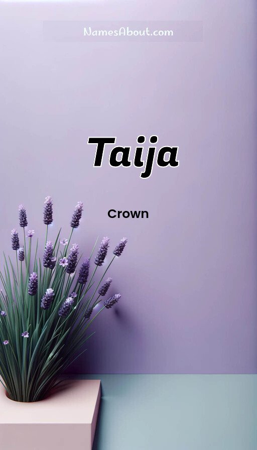 Meaning of Taija