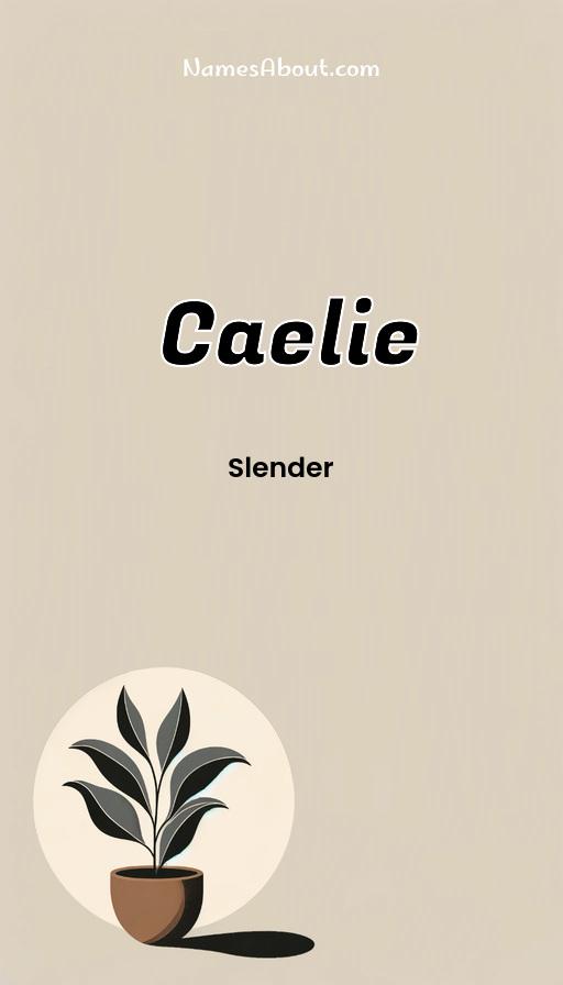 Caelie name and meaning