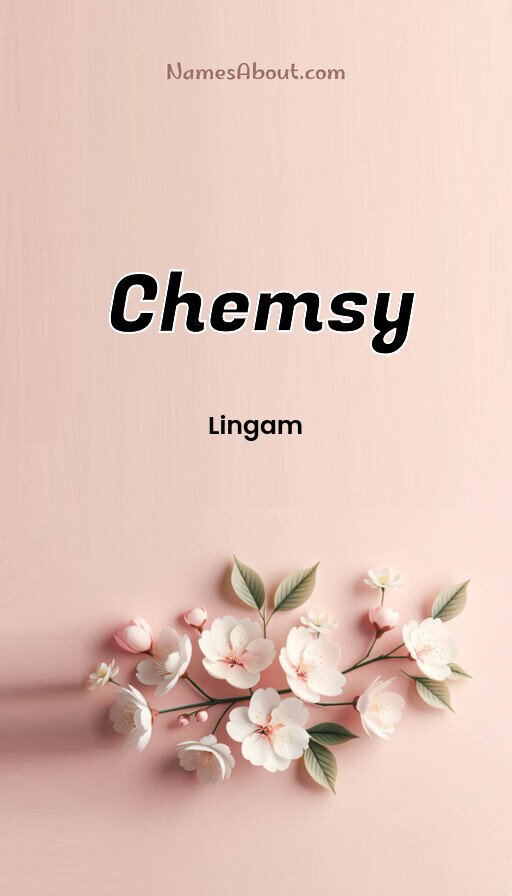 Meaning of Chemsy