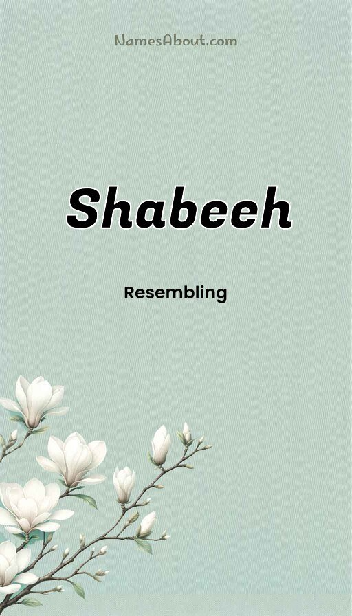 Meaning of Shabeeh