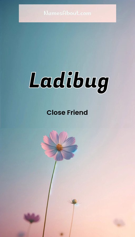 Meaning of Ladibug