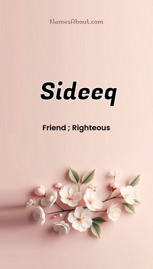 Meaning of Sideeq