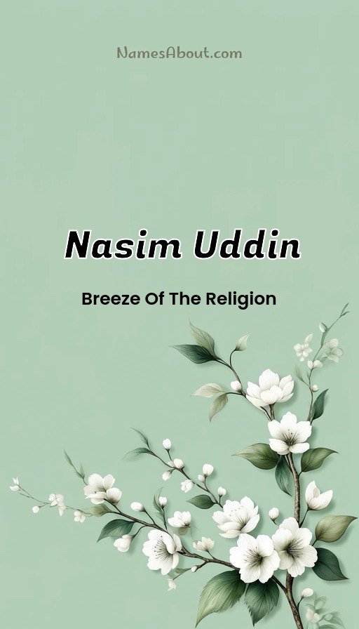 Meaning of Nasim Uddin