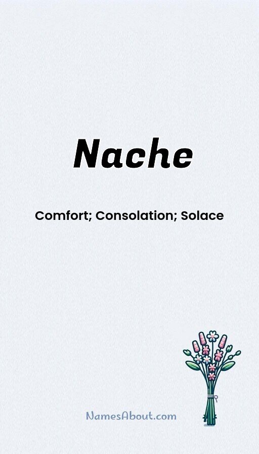 Meaning of Nache