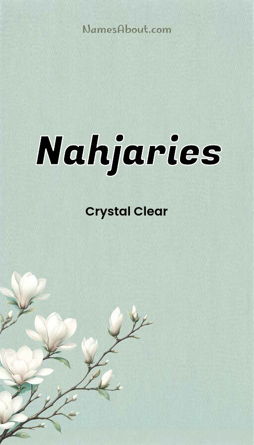 Meaning of Nahjaries