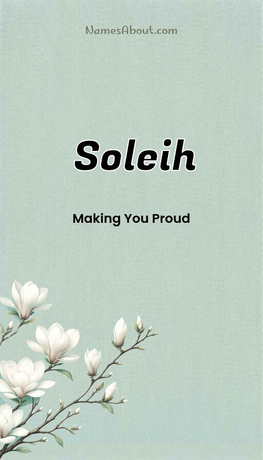 Meaning of Soleih